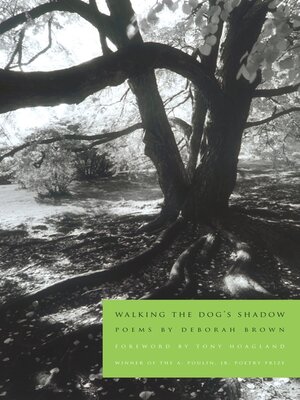 cover image of Walking the Dog's Shadow